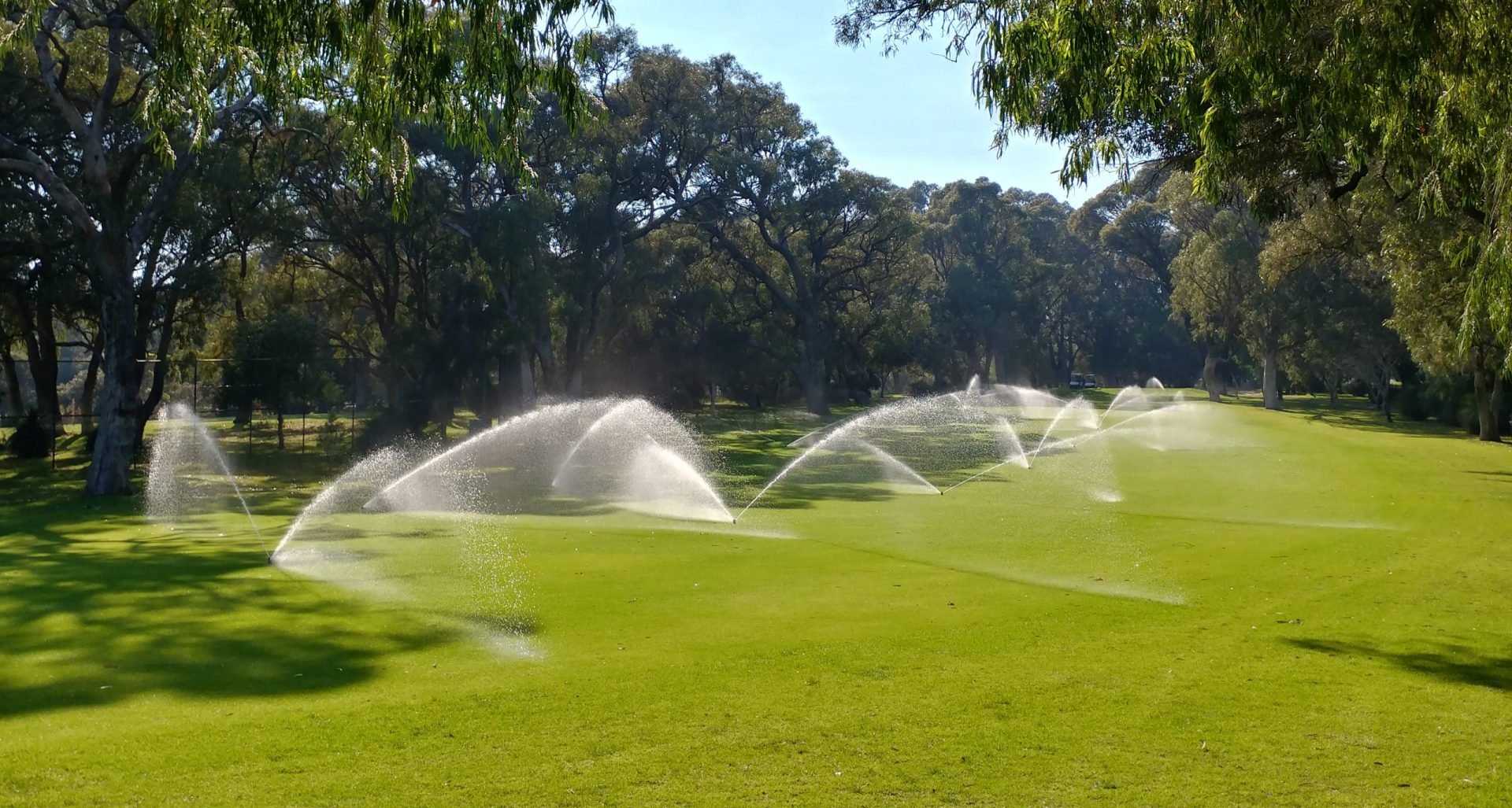 SWAN Systems irrigation